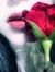 Rore Al...
