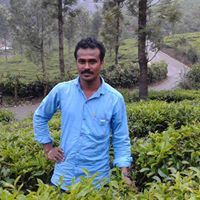 Riju Varghese Pallippadan