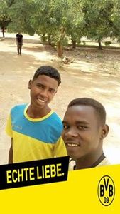 عاصم محمد الأمين