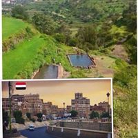 ابوشهاب الباركي