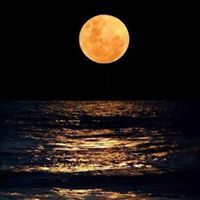 محمد ابو العزائم