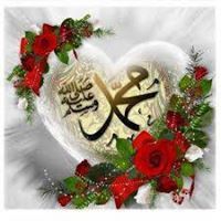 Mohamed Abouzaid