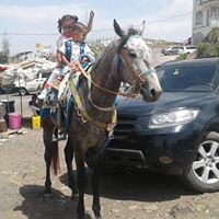 ابو المقداد