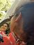 Aanchal...