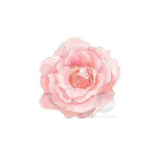 Goodreads profile picture for @nadaashraf