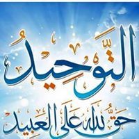 حسام المصري