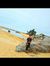 Aiman A...