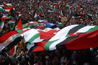 السعيد ابو زهرة