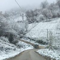 ابراهيم محمد