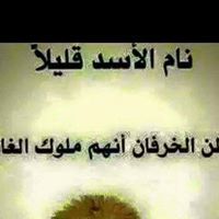 سليمان ابواشرف