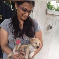 Lavnya Krishnamurthy