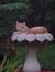 Carole Asbury