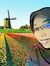 Nurul H...