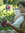 Siobhan Fitzgerald-Clark | 14 comments