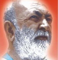 Amir Likwal