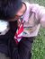 Haryadi...