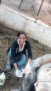 Vidhi Shukla