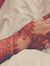 Hafsa T...