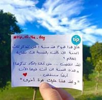 Bahaa Bebo