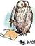 Hedwig