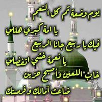 متصل الان