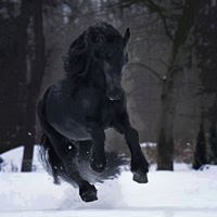 Αλεξάνδρα Νίκου