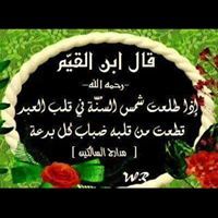 محمود أبو عبدالمجيد