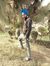 Jass Dh...