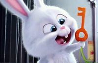 إخلاص العياشي