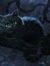 Lilith Mins