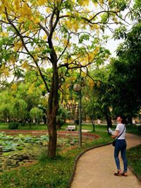 Quỳnh Nguyễn Thúy