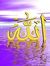 Hiba Bedo