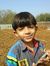 Ankit P...