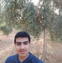 فارس البرغوث