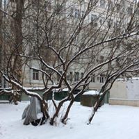 Михайлов Куанг