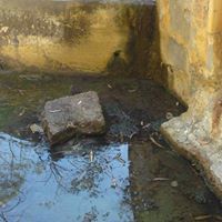 Δώρα Φωτοπούλου