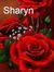 Sharyn ...