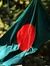 তাজিম আল