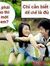 Việt Trần