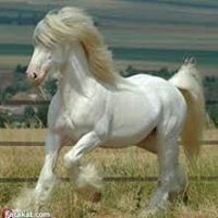 Moazaboshanab Aboshanb