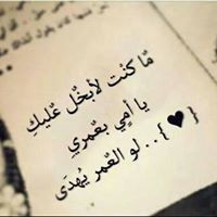 Malek Rohy