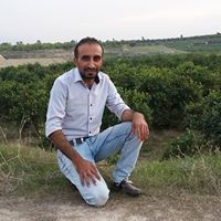 مالك مساعده