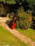 Farhana...