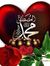 حكمت رائد