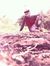 Fahad FaZz