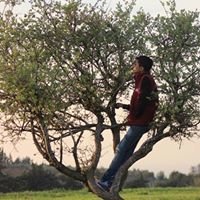 دانيال علامة