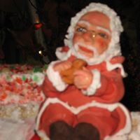 Sandy Pickering- Beeman