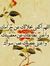 Shaimaa...