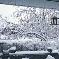 Ricardo Castillo Argüello