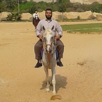 أحمد الجندى